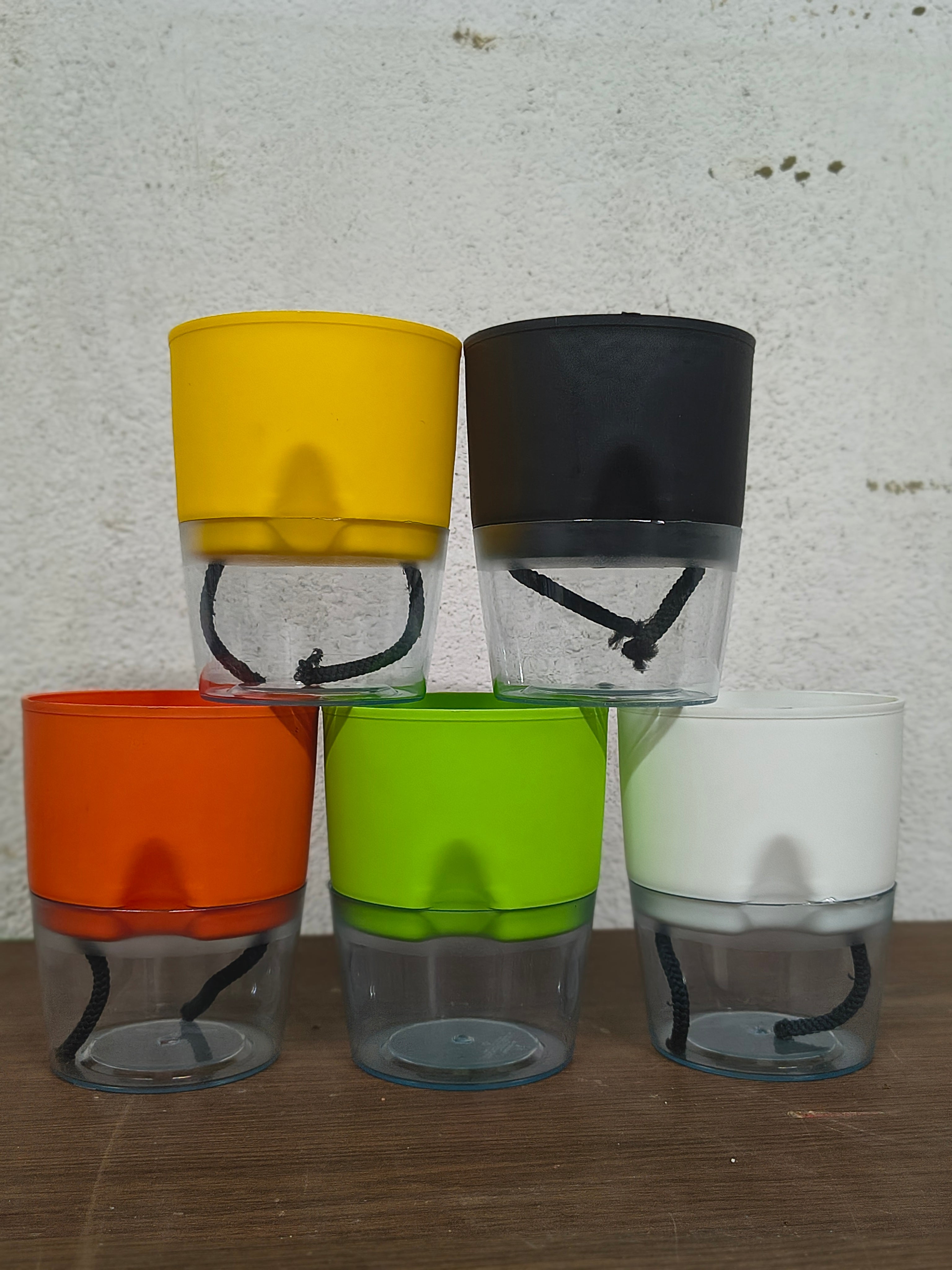 Self Watering Pot