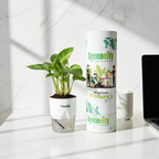 Green Money Plant – Indoor Air-Purifying Lucky Plant