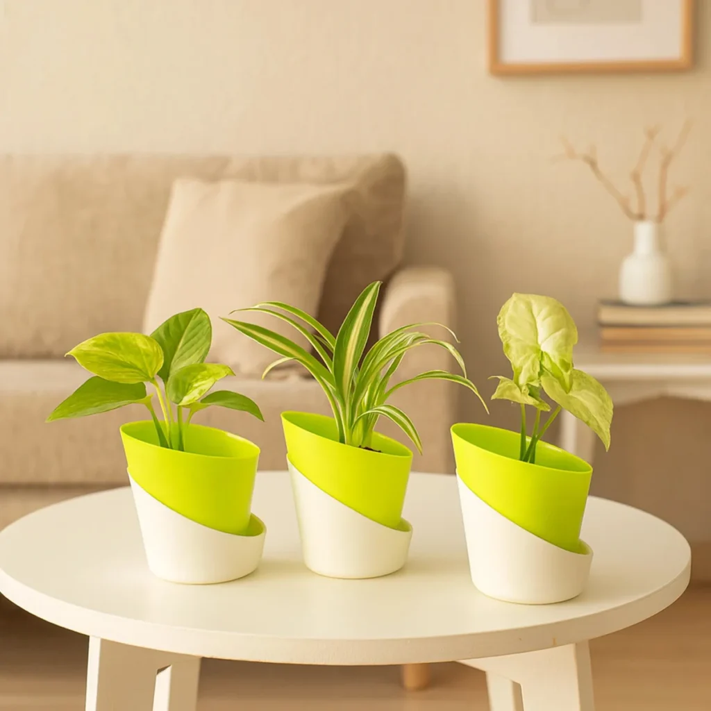 Self Watering Pot 4 inch (Set of 3)